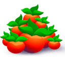 food_1