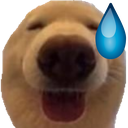 dawgeh