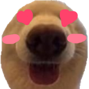 dawglove