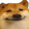 dogeface