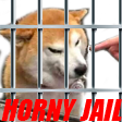 dogehornyjail