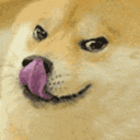freakydoge