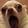 omg
