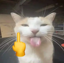 cat_lewfuc
