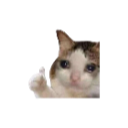 CatThumbsup_3