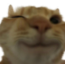 catwink