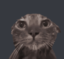 catwet