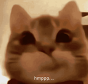 hmppp_cat