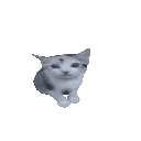 Lalacat
