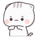 kawaiishy